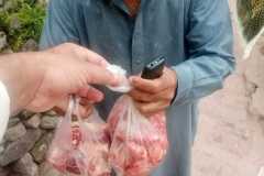 IMG-20241218-WA0031